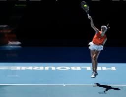 [网球]德米纳尔VS穆塞蒂领衔ATP年终总决赛五佳球